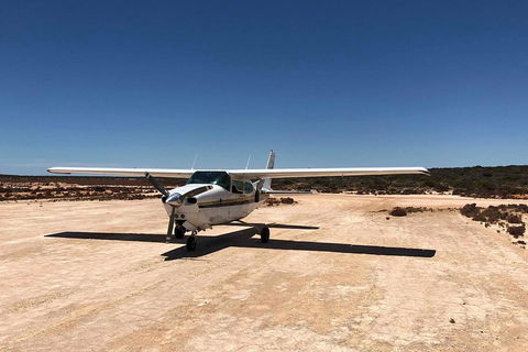 Kalbarri Gorges & West Coast - Ground & Air Tour - Attractions 4