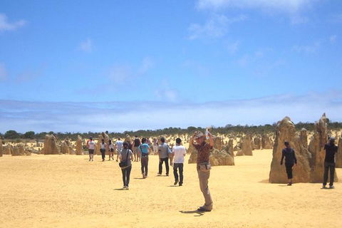 Pinnacles & Rottnest Island Scenic Air & Ground Tour - Attractions 3