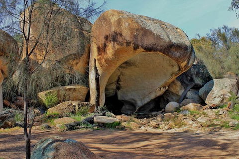 Wave Rock & Rottnest Island - Air & Ground Tour - Attractions 4