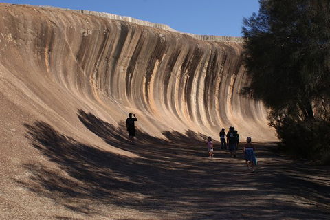 Wave Rock, Pinnacles And Rottnest One Day Aeroplane Tour - Attractions 4