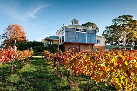 Adelaide Hills Food, Wine, Cheese, & Chocolate - Private Day Tour - Attractions 3