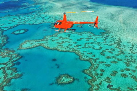 Reef & Whitehaven Landing - Attractions 4