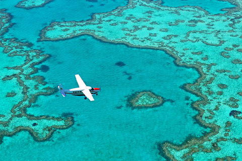 Reef And Island Scenic Flight From Airlie Beach - Attractions 4