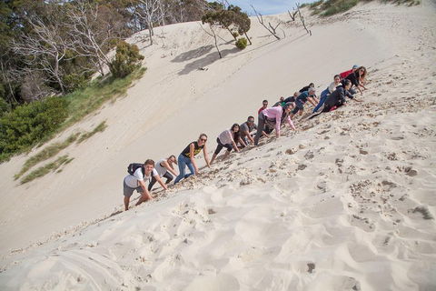 6-Day Tasmanian Explorer Adventure Tour From Hobart - Attractions 2