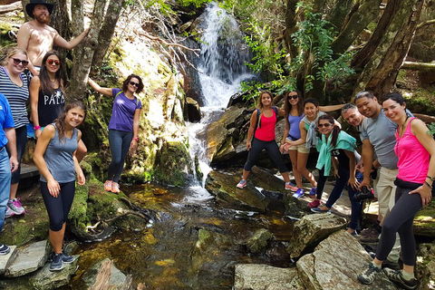 7-Day Super Value Tour Of Tasmania: Explore Tasmania's West And East Coasts - Attractions 2