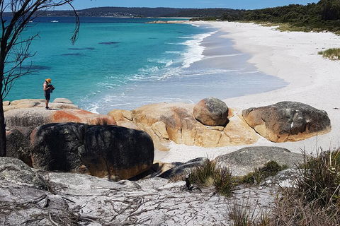 2-Day Tas East Coast Escape Tour Including Bay Of Fires, Wineglass Bay & Devils - Attractions 4