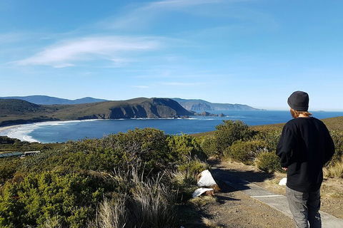 4-Day Fabulous Tasmania Tour: Wineglass Bay, Port Arthur, Devils & Bruny Island - Attractions 0