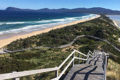 4-Day Fabulous Tasmania Tour: Wineglass Bay, Port Arthur, Devils & Bruny Island - Attractions 5