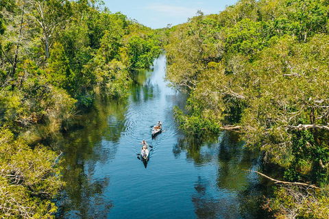 Cruise 'n' Canoe To Australia's Everglades - Attractions 3