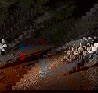 Alice Springs Desert Park Nocturnal Tour - Attractions