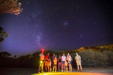 Alice Springs Desert Park Nocturnal Tour - Attractions 2