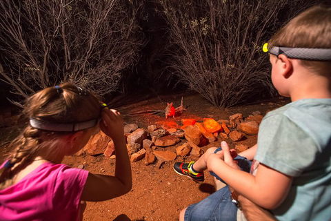 Alice Springs Desert Park Nocturnal Tour - Attractions 4