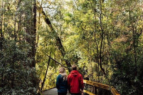 Gordon River Cruise Departing From Strahan - Attractions 2