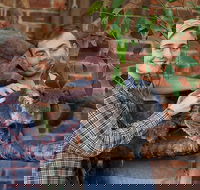 Private Tour Blue Mountains Day Trip from Sydney - Attractions