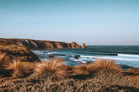 Small Group - Phillip Island Hike & Penguin Parade Day Tour From Melbourne - Attractions 0