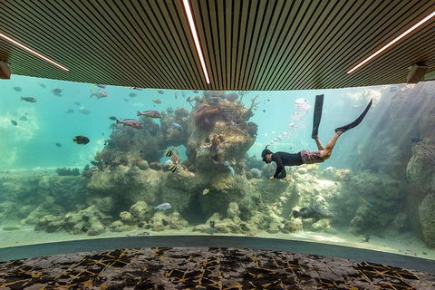Whitehaven Beach And Daydream Island Cruise - Attractions 4