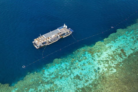 Great Barrier Reef Day Cruise To Reefworld - Attractions 2