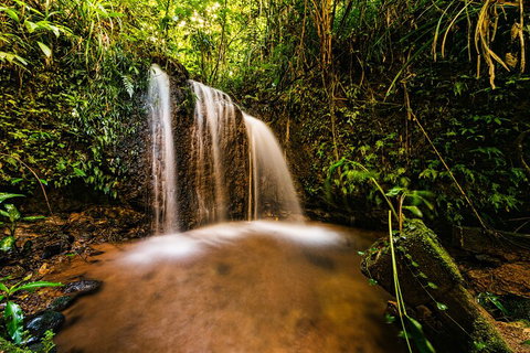 Paronella Park Admission Ticket - Attractions 5