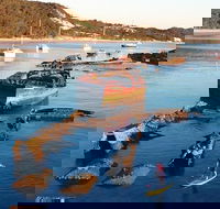 Adventure Moreton Island Wrecks Adventure Package - Attractions