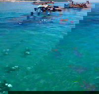 Adventure Moreton Island Scuba Dive Tour - Attractions