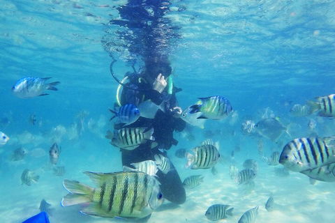 Adventure Moreton Island Scuba Dive Tour - Attractions 1