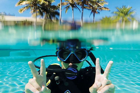 Adventure Moreton Island Scuba Dive Tour - Attractions 2