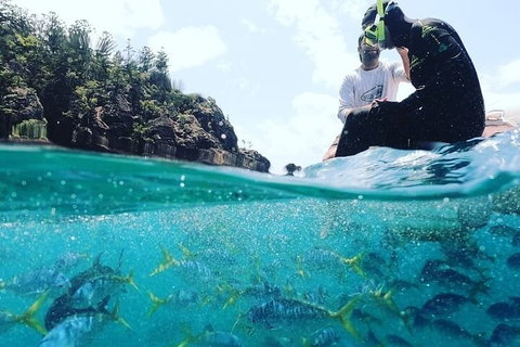 2 Night Small Group Whitsundays Sailing Adventure Aboard Mandrake - Attractions 5