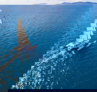 2-Night Whitsunday Islands Sailing Adventure on Trimaran Avatar - Attractions