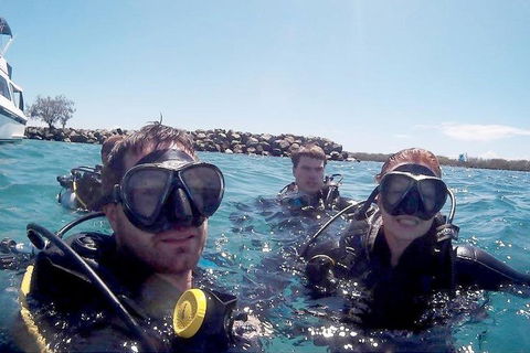 Wave Break Island Scuba Diving On The Gold Coast - Attractions 0