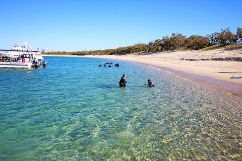 Wave Break Island Scuba Diving On The Gold Coast - Attractions 4