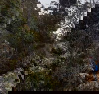 kunanyi / Mt. Wellington Guided Hiking Tour - Attractions