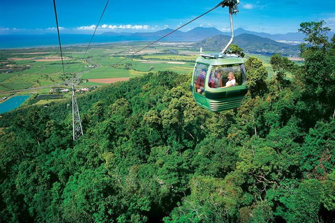 Cairns ATV Adventure Tour And Morning Skyrail - Attractions 2
