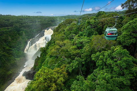 Cairns ATV Adventure Tour And Morning Skyrail - Attractions 3