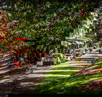 Fully Inclusive Blue Mountains Private Tour inc Scenic World  Featherdale entry - Attractions