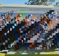 Full Day Mount Tamborine Winery Tour from Gold Coast - Attractions