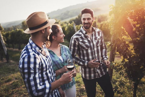 Full Day Mount Tamborine Winery Tour From Gold Coast - See Attractions 5