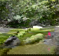 Daintree Dreaming Traditional Aboriginal Fishing from Cairns or Port Douglas - Attractions