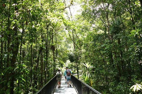 Daintree Dreaming Traditional Aboriginal Fishing From Cairns Or Port Douglas - Attractions 3