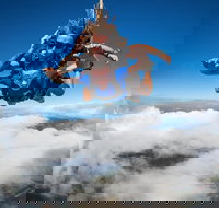 Reef and Rainforest Tandem Sky Dive in Cairns - Attractions