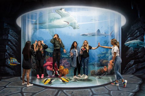 ArtVo Immersive Gallery Experience - Attractions 2