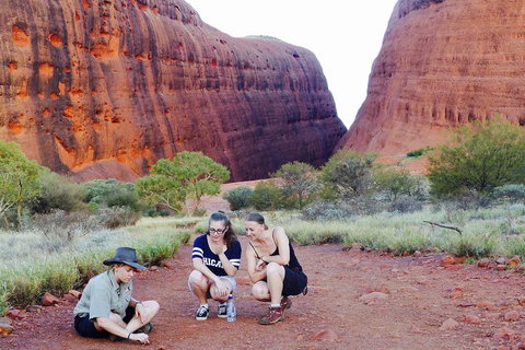 Afternoon Kata Tjuta Small Group Tour - See Attractions 2