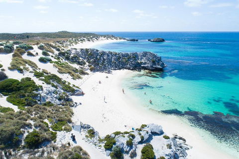 Discover Rottnest With Ferry & Bus Tour From Perth Or Fremantle - Attractions 5