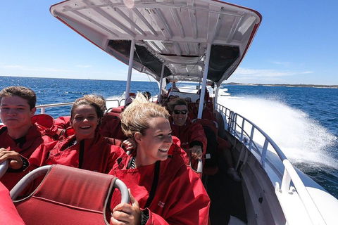 Adventure Rottnest Tour With Ferry & Adventure Cruise From Perth Or Fremantle - Attractions 0