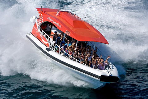 Adventure Rottnest Tour With Ferry & Adventure Cruise From Perth Or Fremantle - Attractions 2