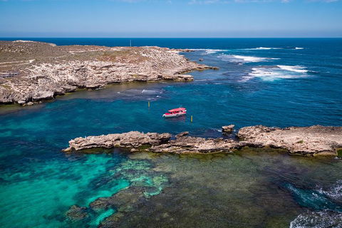 Adventure Rottnest Tour With Ferry & Adventure Cruise From Perth Or Fremantle - Attractions 3