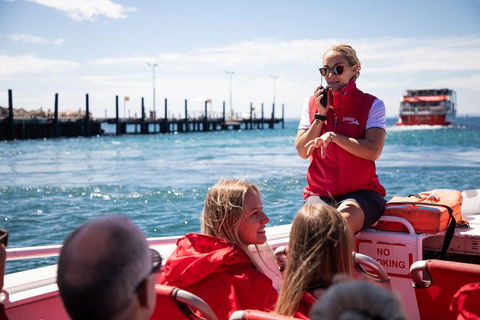Adventure Rottnest Tour With Ferry & Adventure Cruise From Perth Or Fremantle - Attractions 4
