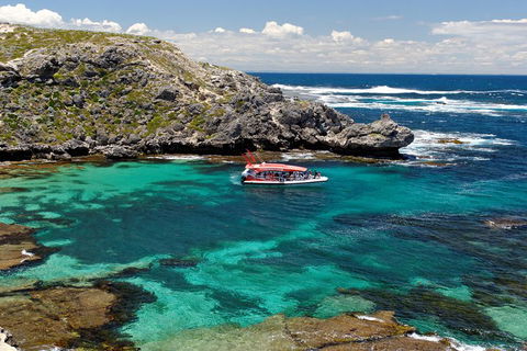 Adventure Rottnest Tour With Ferry & Adventure Cruise From Perth Or Fremantle - Attractions 5