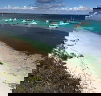 Experience Rottnest with Ferry  Bike Hire from Perth or Fremantle - Attractions