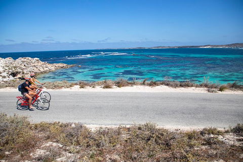 Experience Rottnest With Ferry & Bike Hire From Perth Or Fremantle - Attractions 2