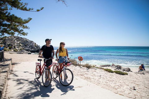 Experience Rottnest With Ferry & Bike Hire From Perth Or Fremantle - Attractions 4
